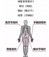 草莓视频入口检测分析仪教你如何看懂草莓视频入口检测报告单